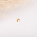 Charm - Pampille - Plaqué or - INTERCHANGEABLE