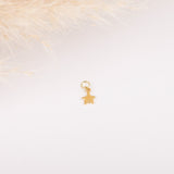 Charm - Pampille - Plaqué or - INTERCHANGEABLE