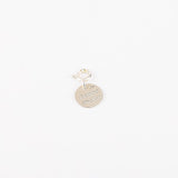 Charm - Mousqueton - Pampille - Plaqué argent - INTERCHANGEABLE