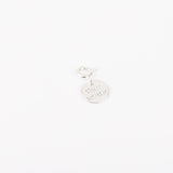 Charm - Mousqueton - Pampille - Plaqué argent - INTERCHANGEABLE
