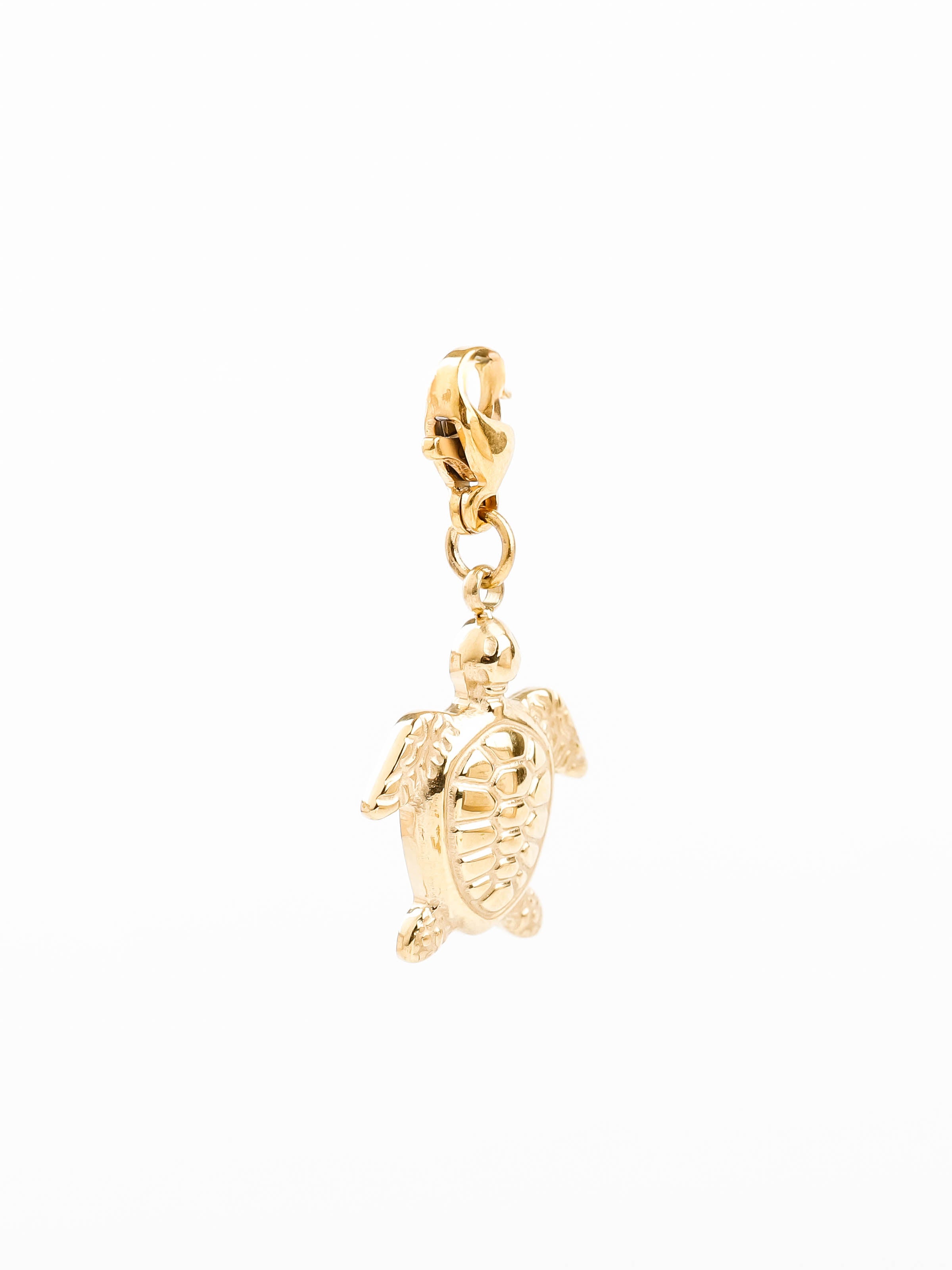 charm's tortue en acier inoxydable pour femme