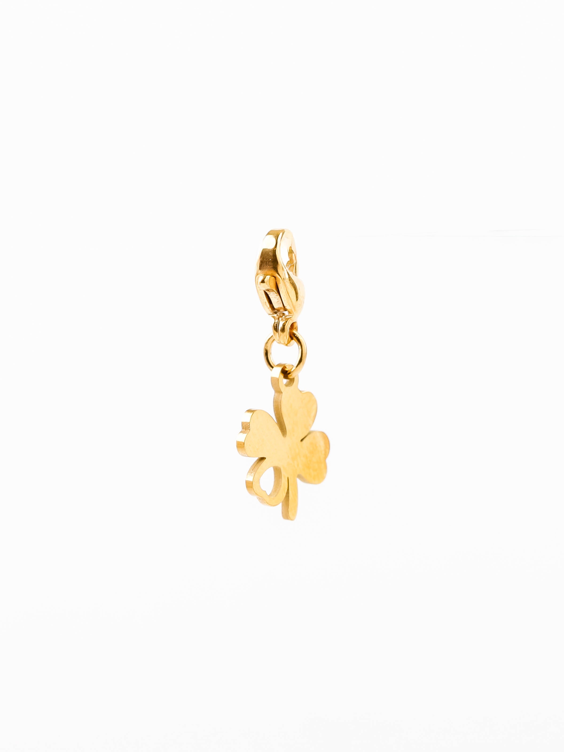 charm's en acier inoxydable pour femme 